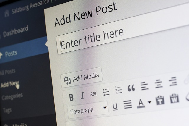 program wordpress