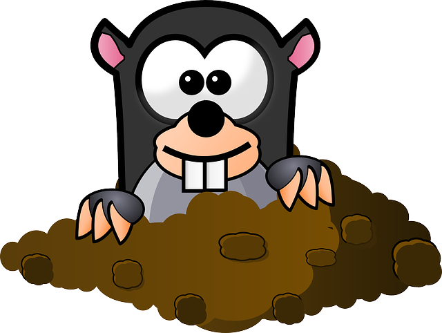 kreslený krtek