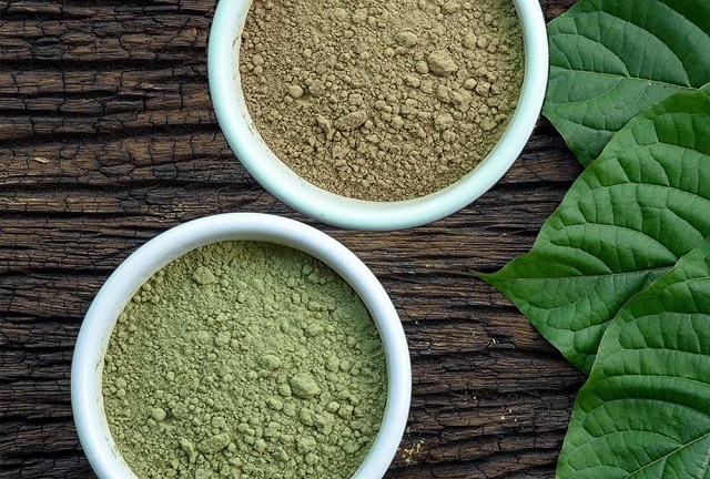 kratom obrázek